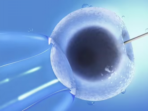 广西三代包性别,桂林人工授精要多少钱！南宁人工授精要多少钱呀！