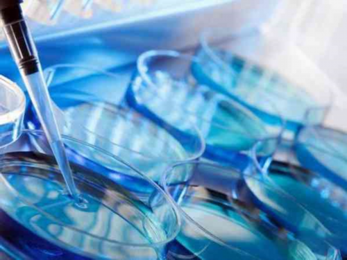 嘉会国际医院试管_天使博芽国际生殖中心,三代试管移植不着床的原因有哪些