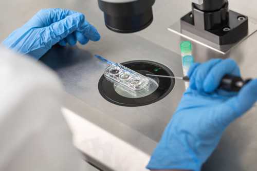 第三代代孕花费,试管胚胎放多少精子,试管婴儿放几颗受精卵！