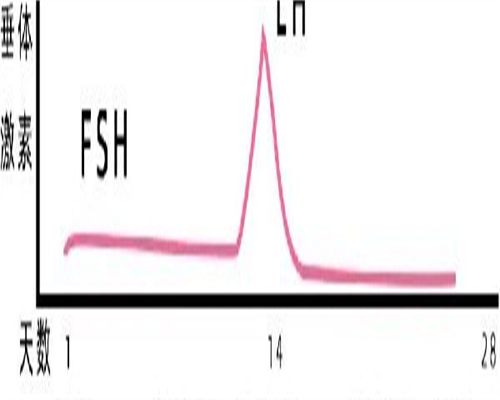 全国试管包成功医院,卵巢功能差，做试管婴儿能成功吗？3个技巧助你好孕！