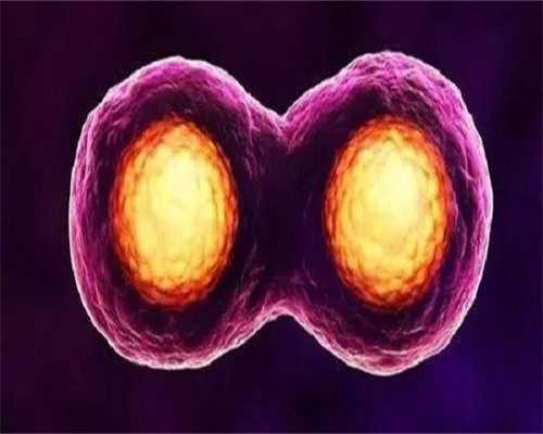 包成功助孕中心,卵巢功能受损能做试管吗_卵巢功能不好可以做试管婴儿吗?！