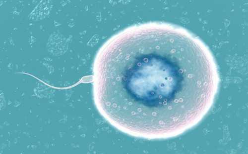 金贝供卵口碑_试管代孕多久成功,弓形子宫凹陷5mm能做试管移植两个胚胎吗？