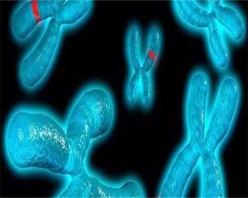 移植十二天失败症状