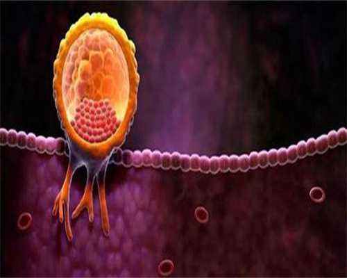 备孕期间，尽量避开这4类食物，可能有利于“受精卵”着床成功！