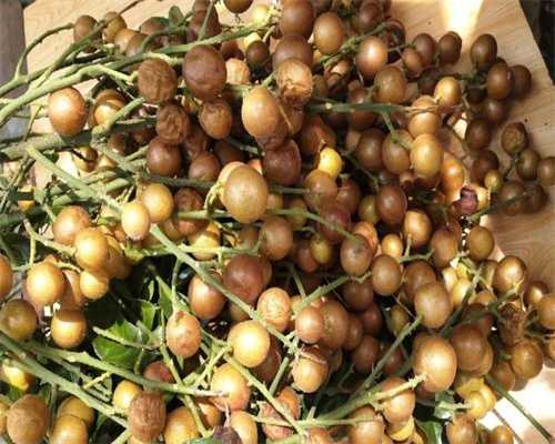 代生子包男孩价格_包成功助孕多少钱,做试管会查hiv吗