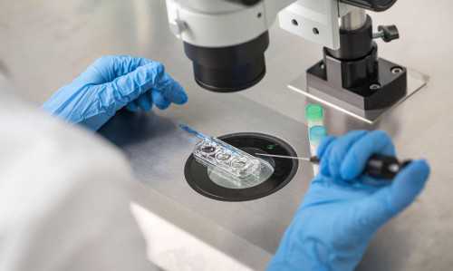 代孕公司包成功,子宫疤痕缺陷影响做试管吗，子宫疤痕对试管的影响程度及注