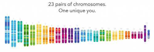 第二代试管婴儿移植胚胎放到子宫里哪个位置移植后胚胎在子宫的位置