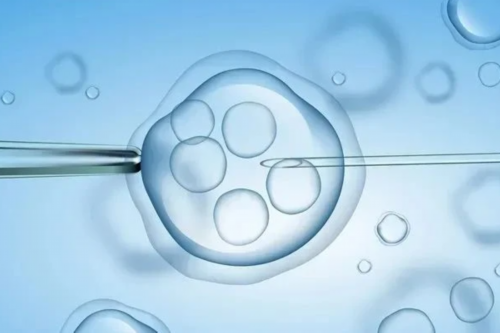 代孕网公司,上海不孕不育检查流程是什么！详细价格表！