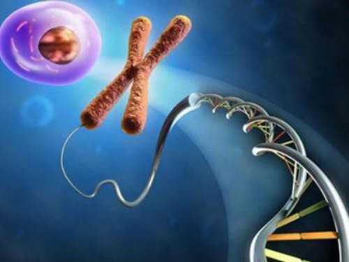 捐卵价格公司_试管婴儿代孕中,为什么人流后会不易怀孕